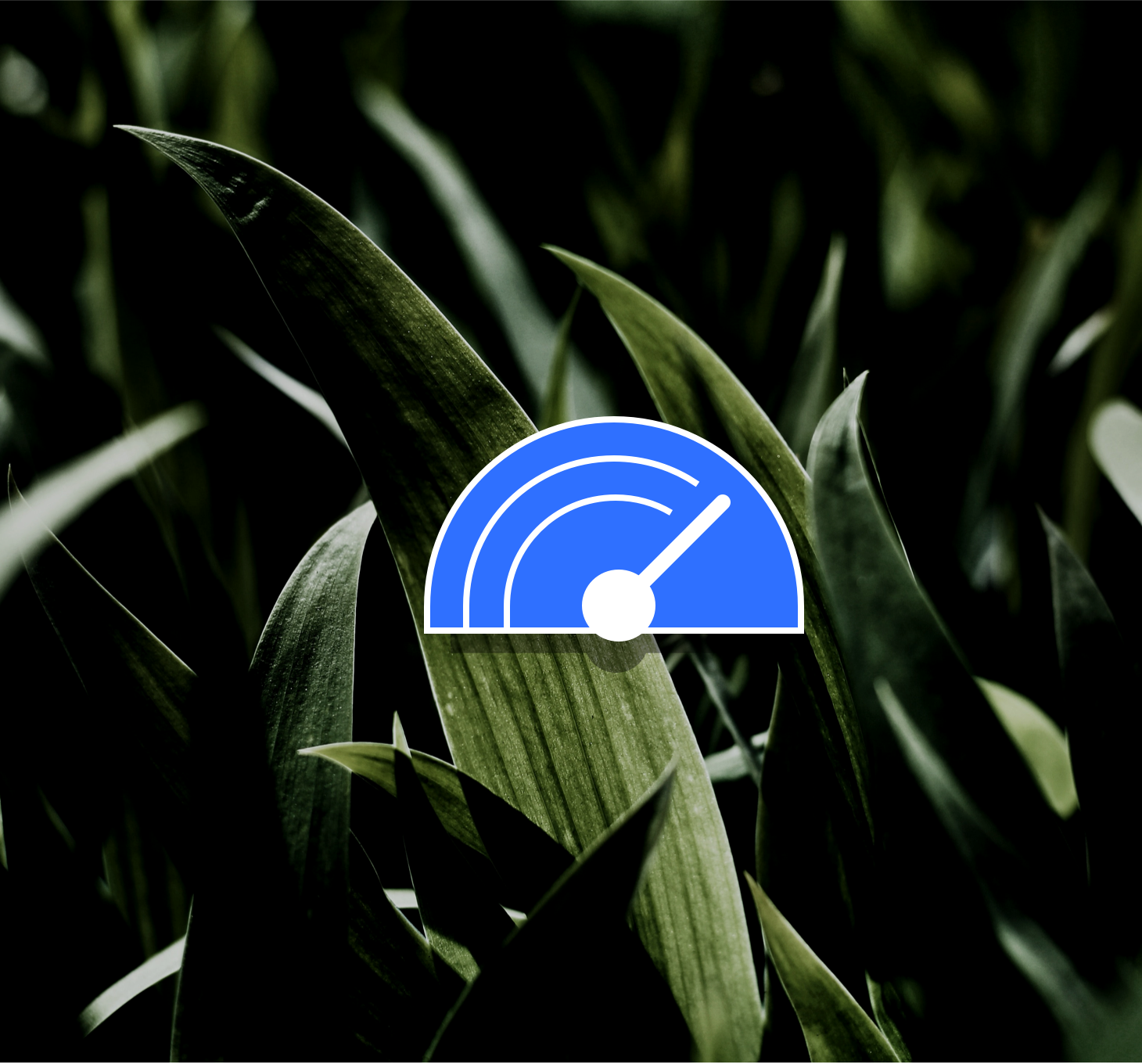 Det laver vi – Konverteringsoptimering