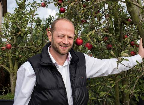 Bjarne Schou Andersen, Direktør