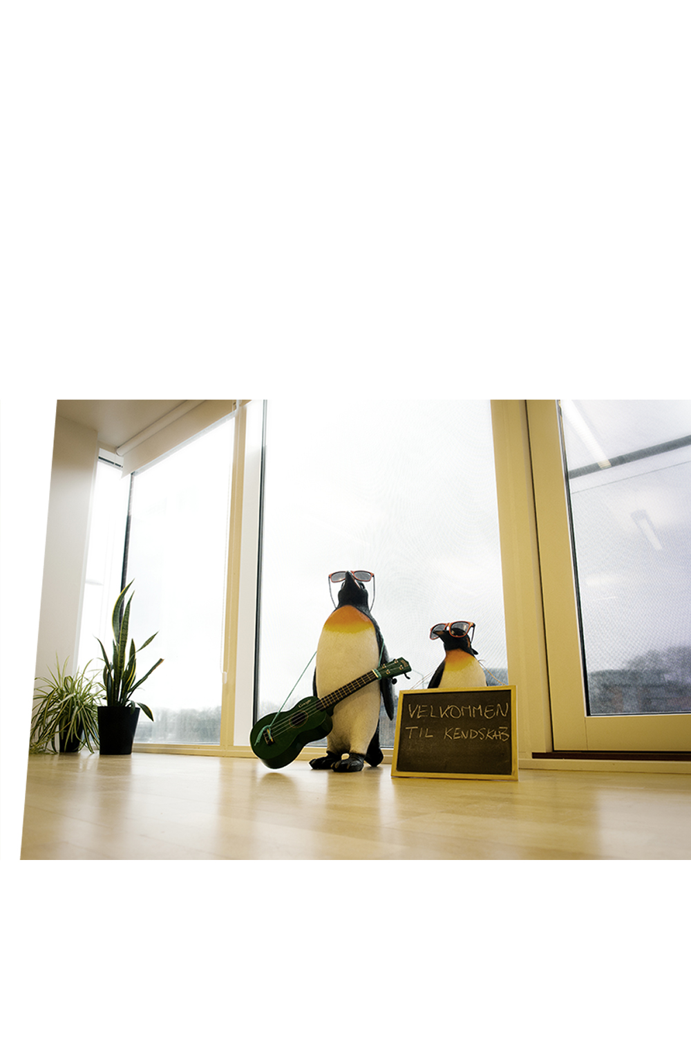 Header Kendskab 2022